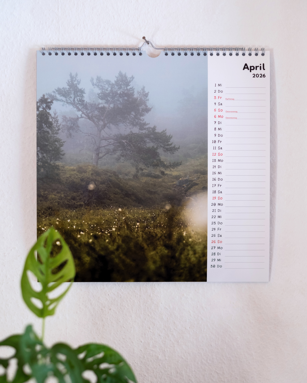 2026 Franzis Wandkalender