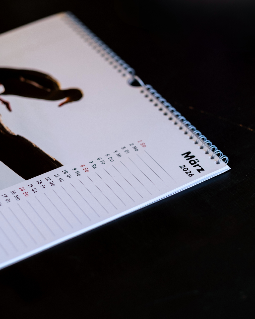 2026 Franzis Wandkalender
